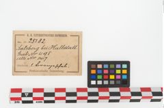 Etikett zu Bronzebreitrandfußschale (NHMW-PRAE-025182)